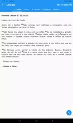download Liturgia Diária XAPK