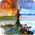 Relaxing Nature