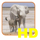 Safari List HD - South Africa APK