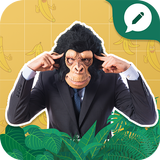 My Photo Custom Sticker Maker biểu tượng