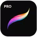 Procreate Paint pro