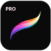 Procreate Paint pro