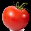 VIP TOMATO VPN