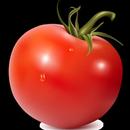 VIP TOMATO VPN APK