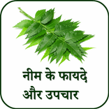 नीम के फायदे - Benefits of Neem