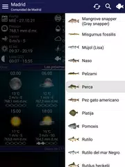 Descargar XAPK de Previsión de pesca