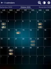 download Previsioni di pesca XAPK