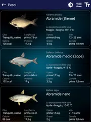 download Previsioni di pesca XAPK