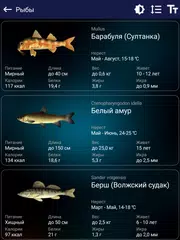 Прогноз клева XAPK 下載