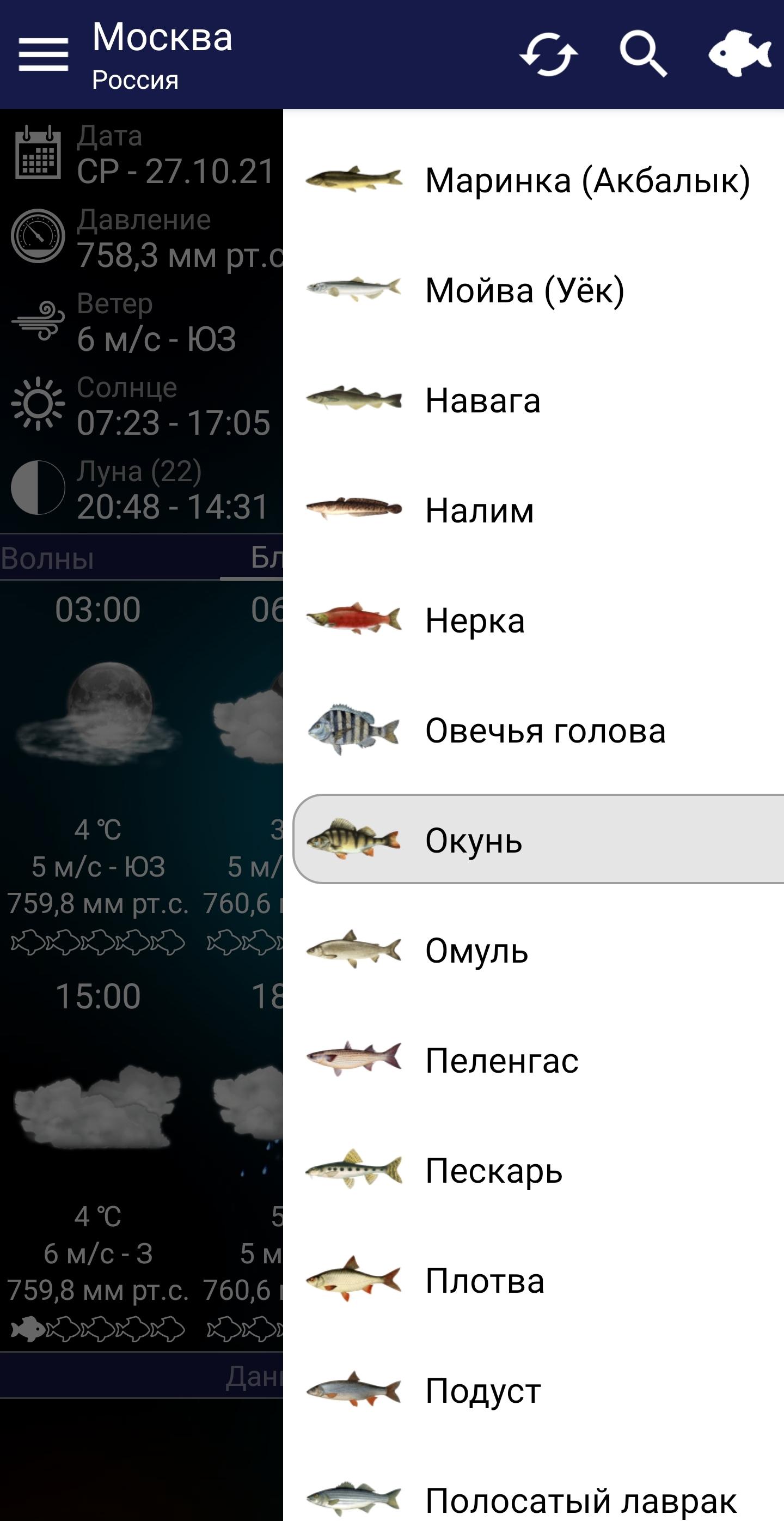 Fishing Forecast. Приложение прогноз клева