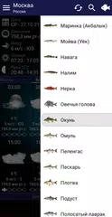 Прогноз клева XAPK 下載