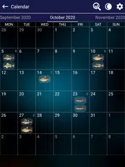 Fishing forecast XAPK download