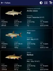Fishing forecast XAPK download