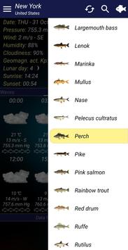Fishing forecast screenshot 1
