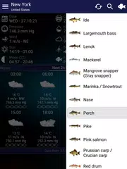 Fishing forecast XAPK download