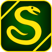 Snake Master APK