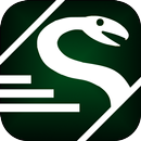 Snake Activity APK