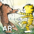 Tiger Und Bär