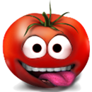 Fiese SMS Sprüche APK