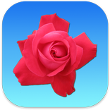 Liebesgedichte für WhatsApp