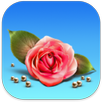 Schöne Liebes Sprüche APK