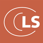 LeadSuccess-icoon