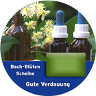 Gute Verdauung Scheibe biểu tượng