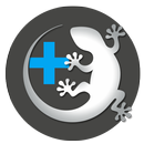 APK Cell workout with the CellAir®  GECKO Plus