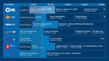 dream Player TV for TVheadend 截圖 2