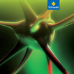 Linder Biologie Glossar