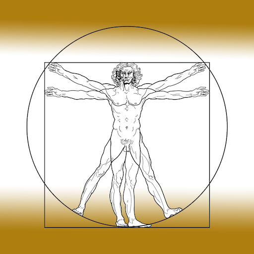 Anatomie - Haut
