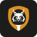 TTV Luchse Riesa APK