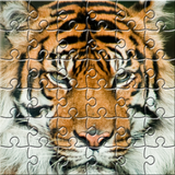 Puzzle Zoo icône