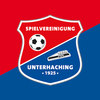 Haching icon