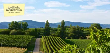 Südliche Weinstraße, Pfalz