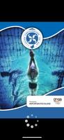 Damen-Schwimm-Verein München الملصق