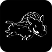 Erkner Razorbacks