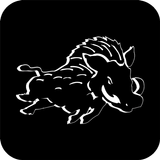 Erkner Razorbacks icon