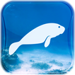 TC Manatees