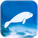 TC Manatees APK