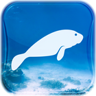 آیکون‌ TC Manatees