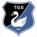 Turngemeinde Schwanheim 1893 APK