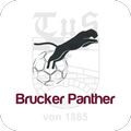 Brucker Panther App