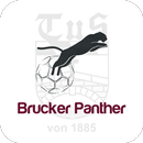 Brucker Panther App APK