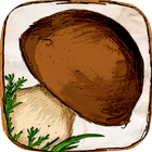 The Mushroom Book icon