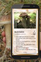 The Mushroom Book Ekran Görüntüsü 1