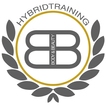 Hybrid Training