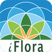 iFlora - Flora von Deutschland