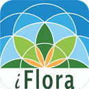 iFlora - Flora von Deutschland APK