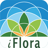 APK iFlora - Flora von Deutschland